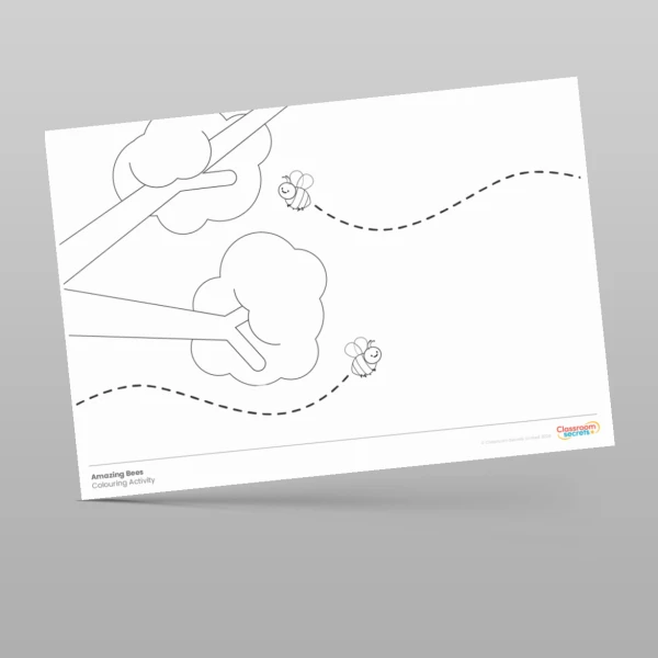 An image of the Amazing Bees Colouring Activities Resource