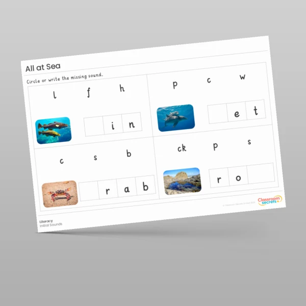 An image of the Amazing World - All At Sea Literacy Activities Resource