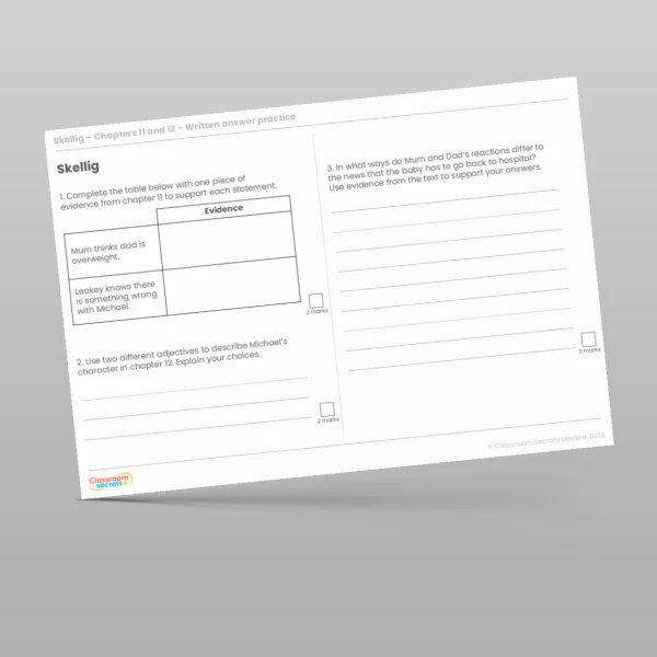 An image of the Reading Skills - Skellig - Chapters 11 & 12 Resource