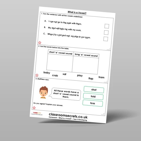 An image of the Free What is a Vowel? Homework Resource