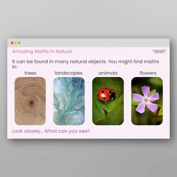 An image of the Amazing Maths in Nature PPT Resource