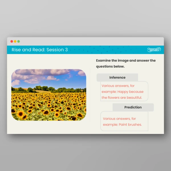 An image of the Rise and Read Van Gogh Resource