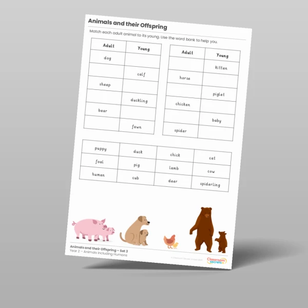 An image of the Animals and their Offspring Activity Resource