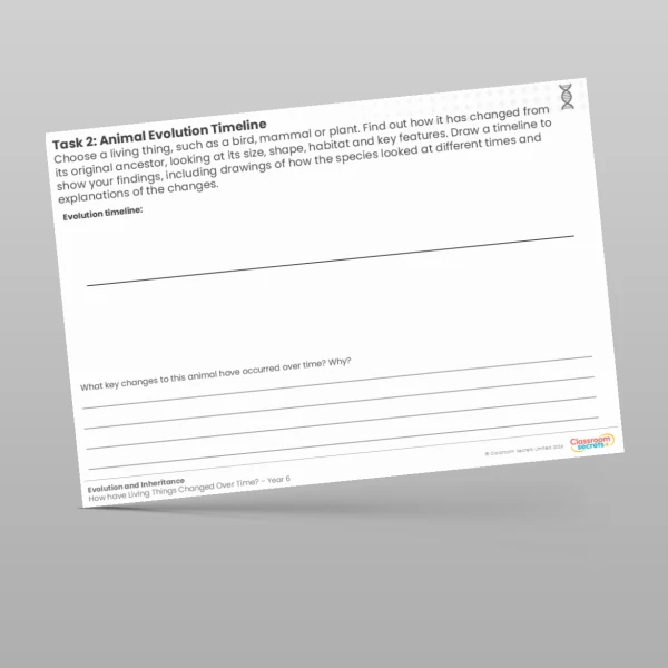An image of the Animal Evolution Timeline Worksheet Resource