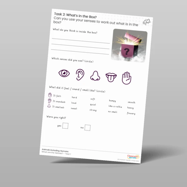 An image of the Lesson 5: What's in the Box? Investigation Worksheet Resource