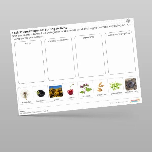 An image of the Lesson 4: Seed Dispersal Sorting Activity Resource