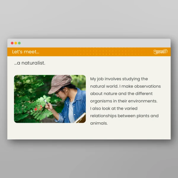 An image of the Lesson 5: What is a Food Chain? Resource