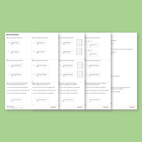 Year 6 Short Division Addition, Subtraction, Multiplication and Division Varied Fluency