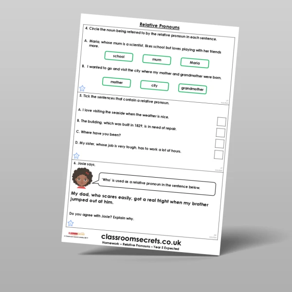 An image of the Relative Pronouns Homework Resource