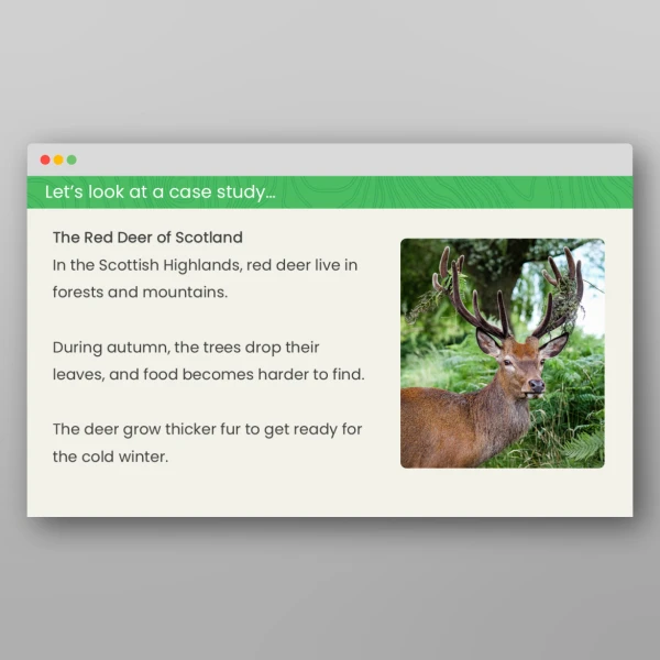 An image of the Autumn and Winter Geography PPT Resource