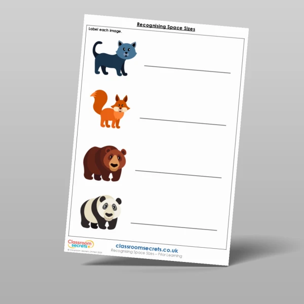 An image of the Recognising Space Sizes Prior Learning Resource