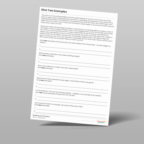 An image of the Give Two Examples Reading Test Practice Resource