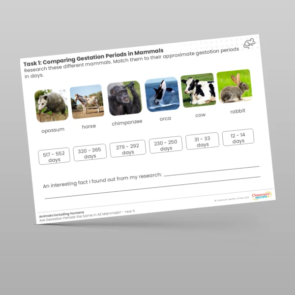 An image of the Lesson 6: Comparing Gestation Periods in Mammals Worksheet Resource