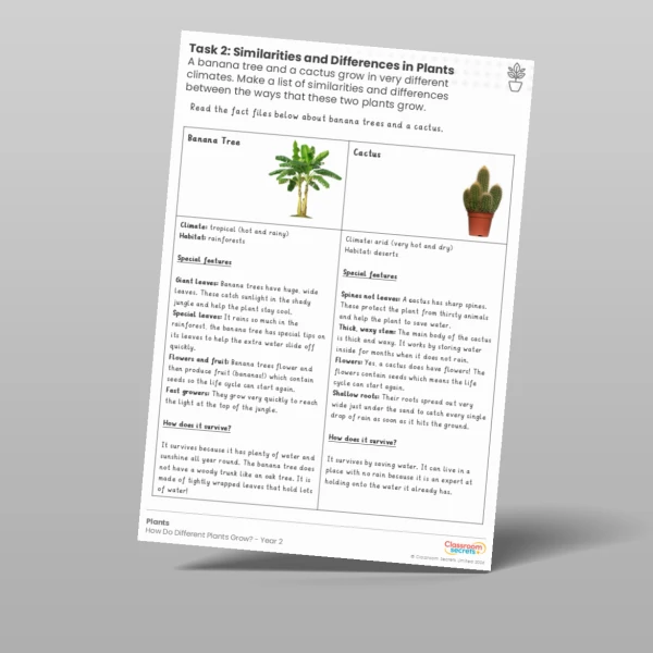An image of the Lesson 5: Similarities and Differences in Plants Activity Worksheet Resource
