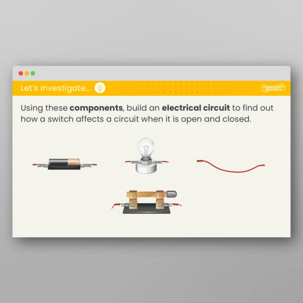 An image of the Lesson 5: What is the Job of a Switch? Investigation Resource