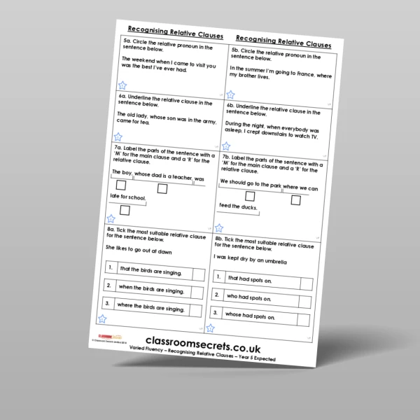An image of the Recognising Relative Clauses Varied Fluency Resource