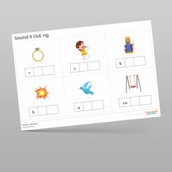 An image of the Phonics Sound It Out: ng Resource