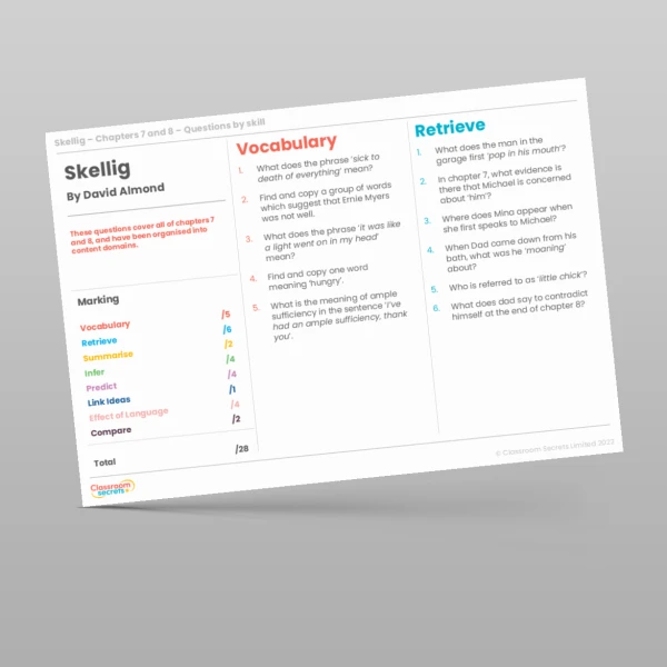 An image of the Reading Skills - Skellig - Chapters 7 & 8 Resource