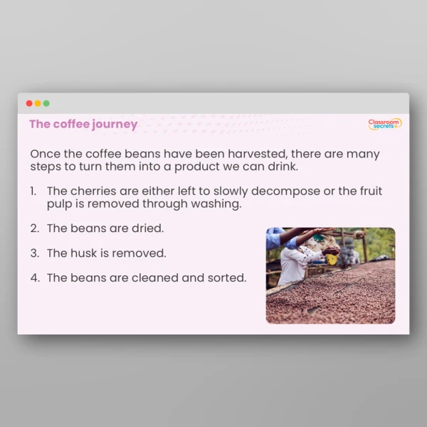 An image of the Fairtrade The Journey of Coffee Teaching PPT Resource