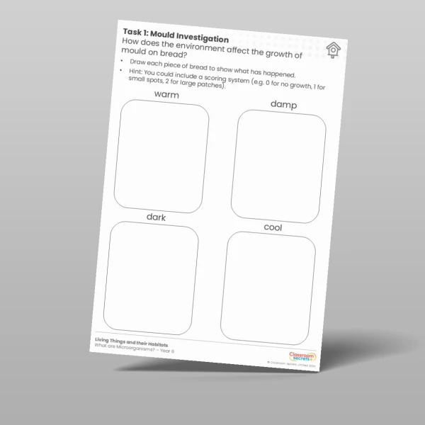 An image of the Lesson 4: Mould Investigation Worksheet Resource