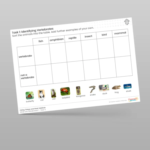 An image of the Lesson 2: Identifying Vertebrates Worksheet Resource