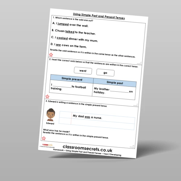 An image of the Using Simple Past and Present Tenses Homework Resource