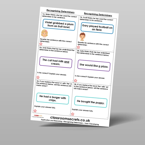 An image of the Recognising Determiners Application and Reasoning Resource