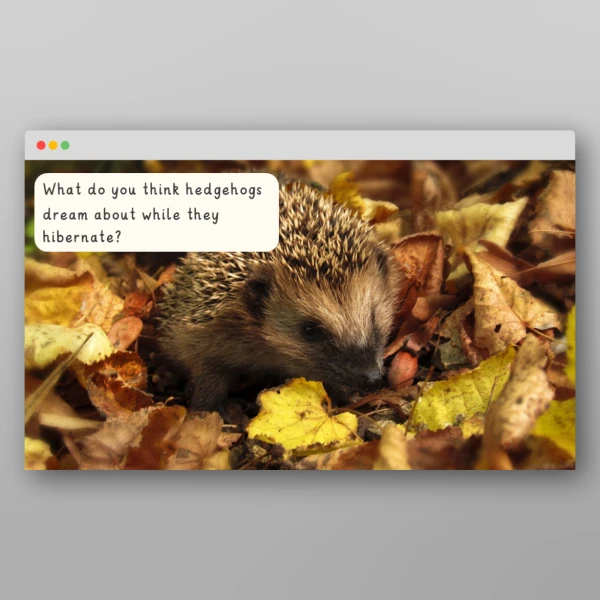 An image of the Autumn I Wonder Discussion Prompts Resource