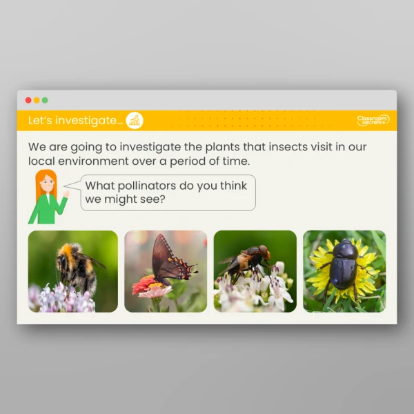 An image of the Lesson 2: Why Are Flowers Important? Investigation Resource