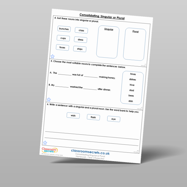 Year 2 Consolidating Singular Or Plural Homework Resource | Classroom ...