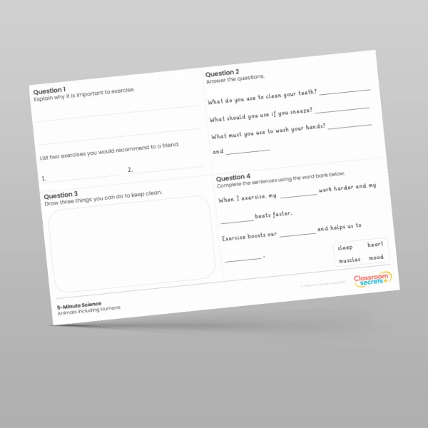 An image of the Animals including Humans 5-Minute Science Resource