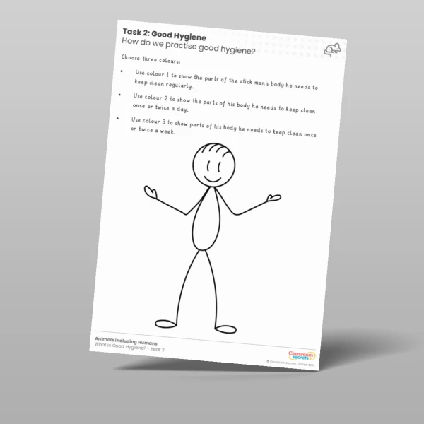 An image of the Lesson 6: Good Hygiene Worksheet Resource