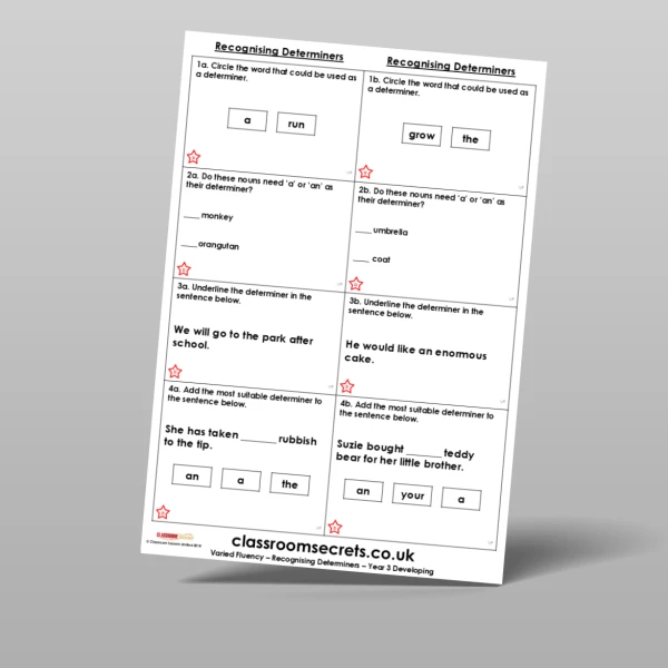 An image of the Recognising Determiners Varied Fluency Resource