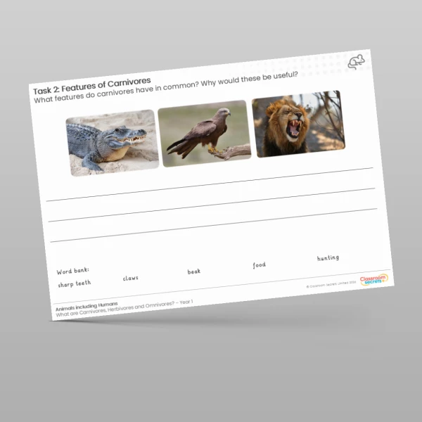 An image of the Lesson 3: Identify the Features of a Carnivore Worksheet Resource