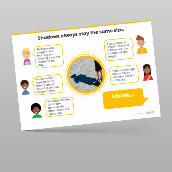 An image of the Light and Shadows Concept Cartoons Resource