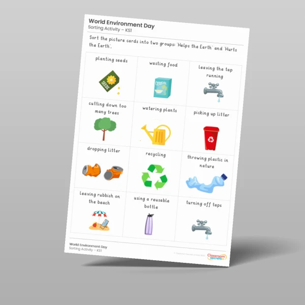 An image of the World Environment Day Sorting Activity Resource