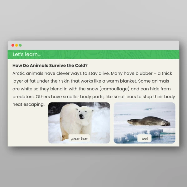 An image of the Comparing Animals in Hot and Cold Regions Geography PowerPoint Resource