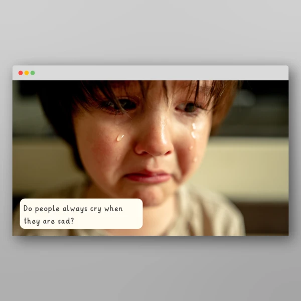 An image of the Feelings and Emotions I Wonder Discussion Prompts Resource