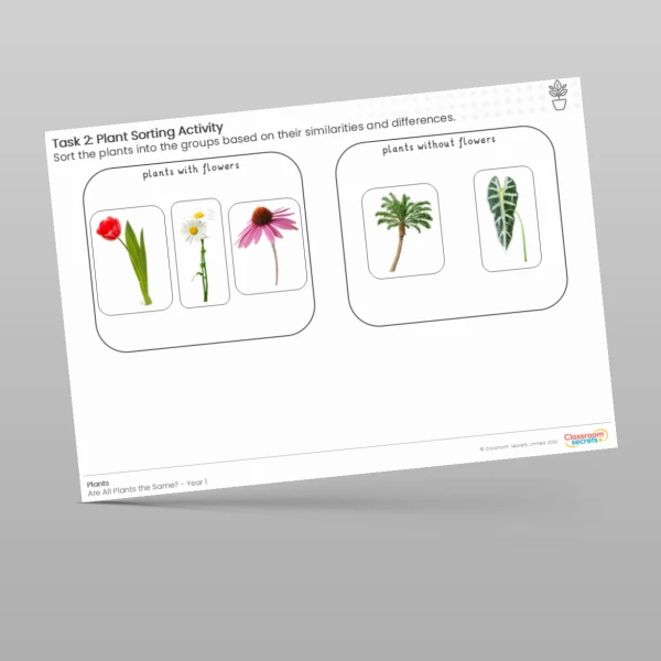 An image of the Lesson 1: Plant Sorting Activity Resource