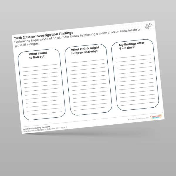 An image of the Lesson 5: Bone Investigation Findings Worksheet Resource