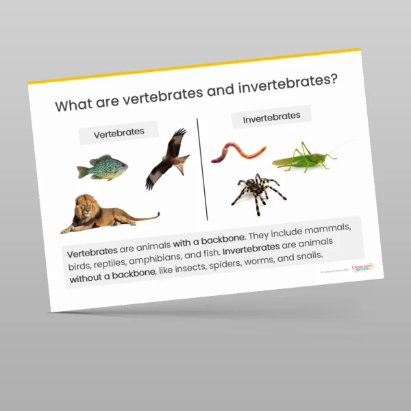 An image of the Living Things and their Habitats Display Pack Resource