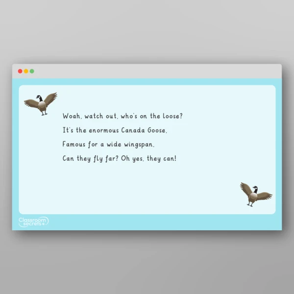 An image of the Amazing World - Polar Regions Rhyme Resource