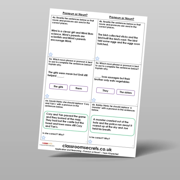 An image of the Pronoun or Noun? Application and Reasoning Resource