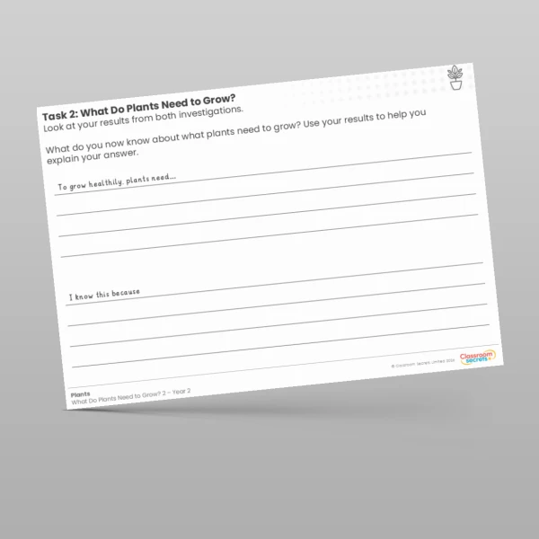 An image of the Lesson 4: What Do Plants Need to Grow? 2 Worksheet Resource