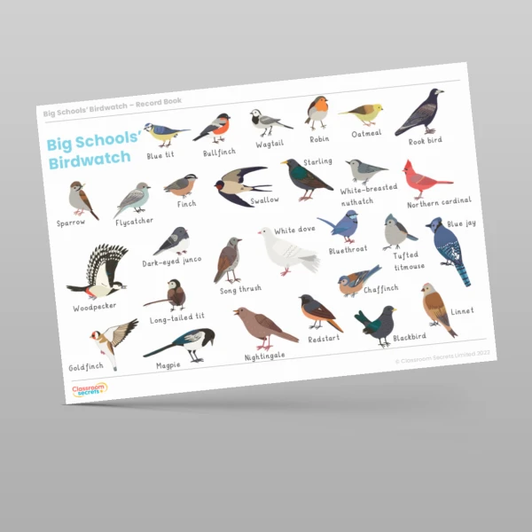 An image of the Big Schools' Birdwatch Record Book Resource