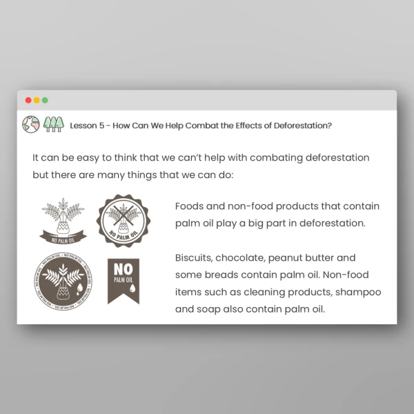 An image of the Deforestation Lessons Resource