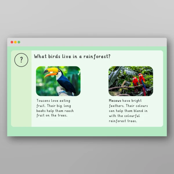 An image of the Amazing World - Rainforests Introductory PPT Resource