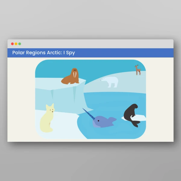 An image of the Amazing World - Polar Regions Visual Discrimination Activities Resource