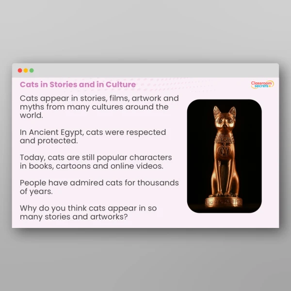 An image of the International Cat Day Whole School Assembly PPT Resource