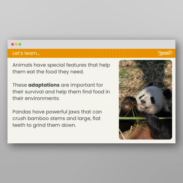 An image of the Lesson 2: What Do Animals Eat? Resource